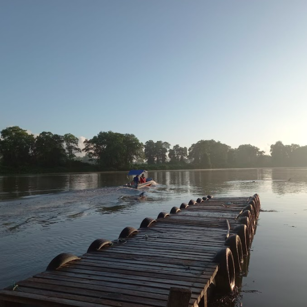 Amostragem nos manguezais do Pará - 2023